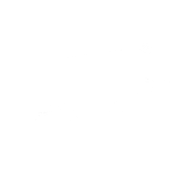 Official DJ BISI logo